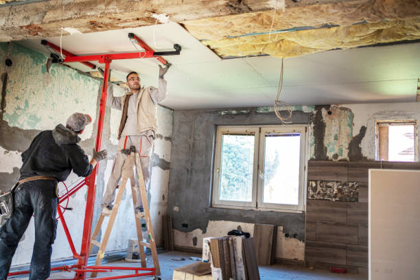 Professional Insulation Contractor in Lanse, MI