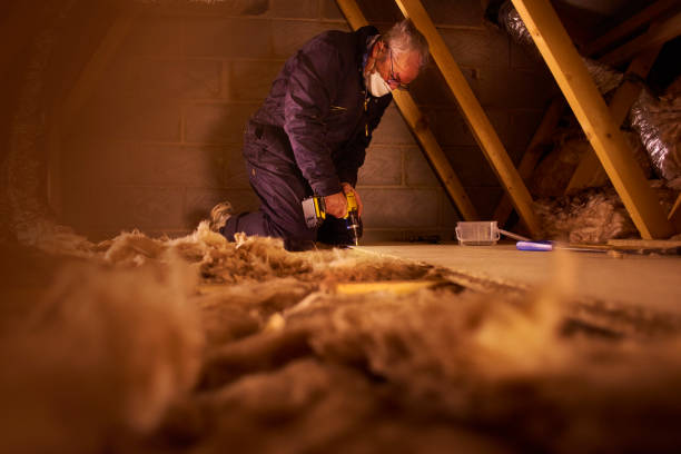 Best Energy Efficiency Insulation in Lanse, MI